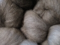 Carded-wool-Dottie