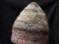 DSD_6981