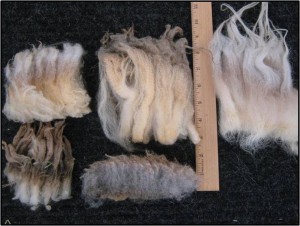 Variety of Fleece Types and Lengths