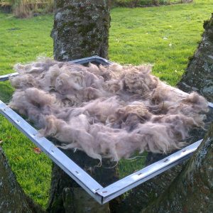 Washed Fleece Screen Tree