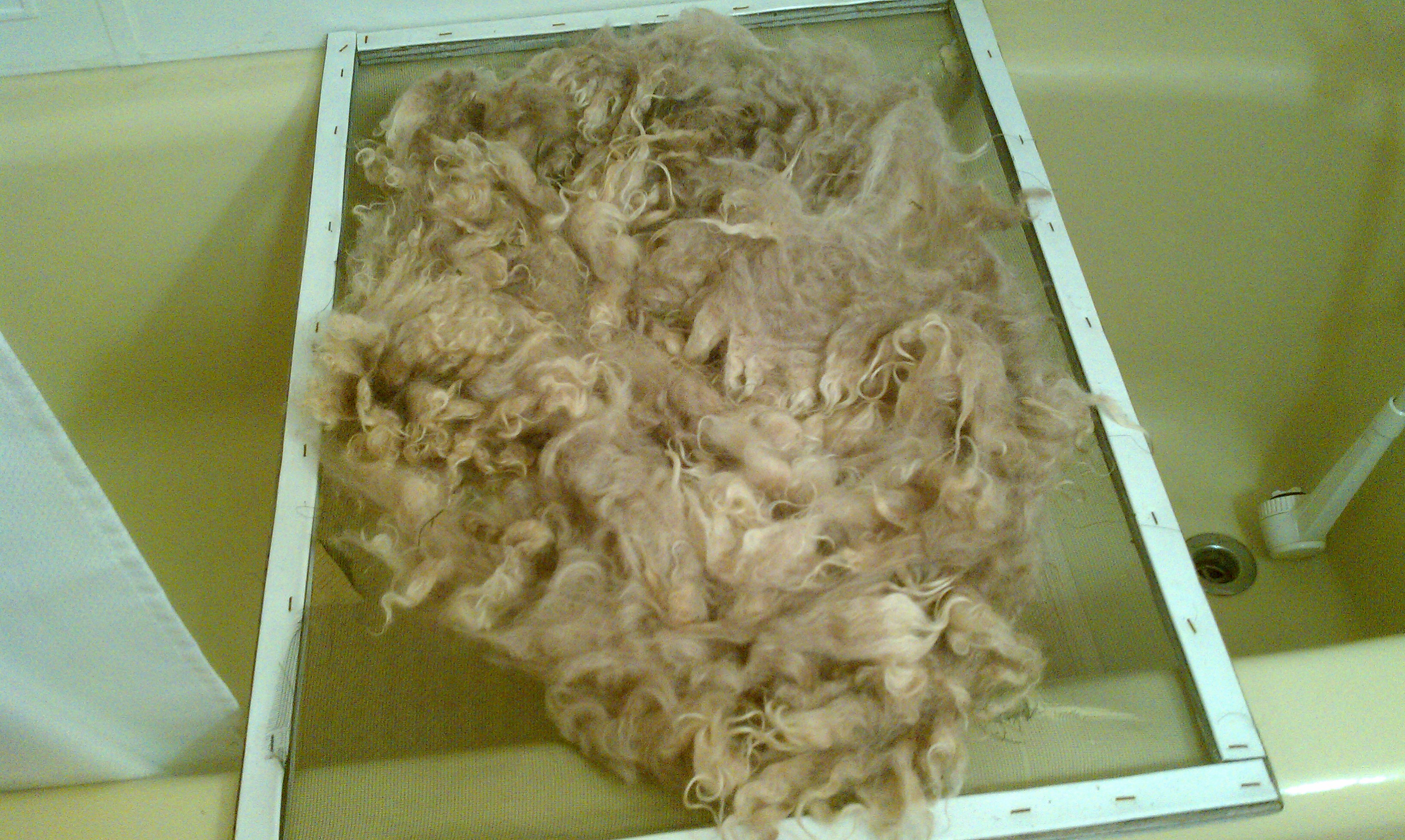 Washed Fleece Screen Bathtub